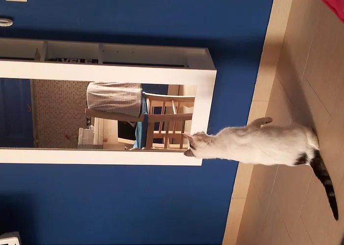 Séjour chez l'habitant Terrazze Verdi